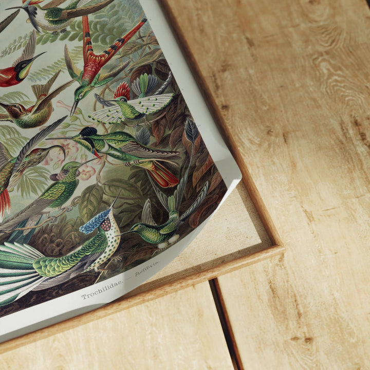 Animated Video Canva Mockup | Vertical 5x7 Ratio | 4 Scenes