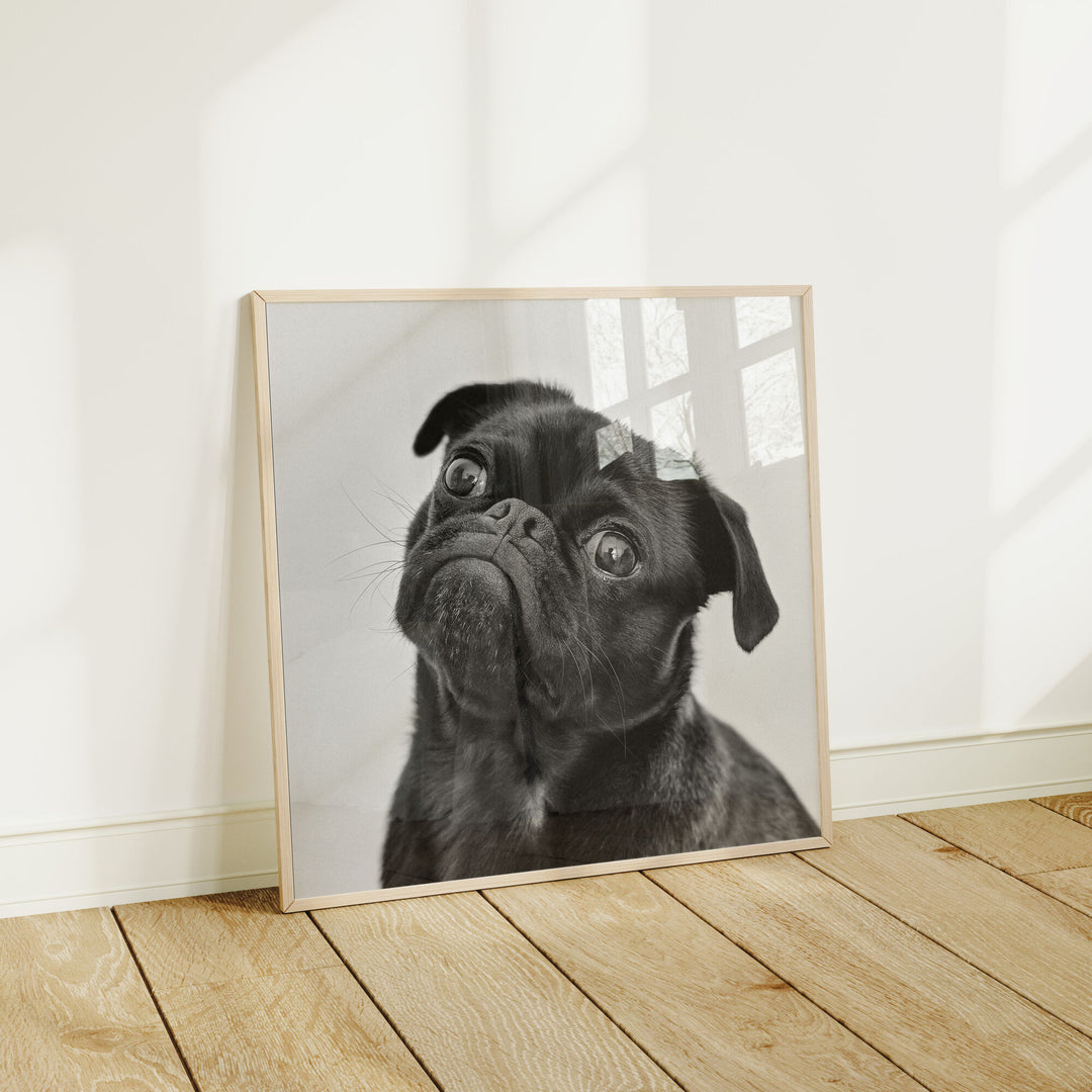 Minimalist Square Wood Frame Mockup with Reflection,Picture Frame Mockup