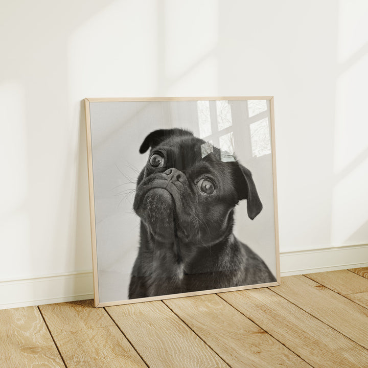 Minimalist Square Wood Frame Mockup with Reflection,Picture Frame Mockup